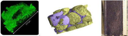 Multi-scale characterization of biofilms