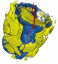 PhD proposal : Fluid phase change simulation in porous and cracked media based on multimodal full-field measurements