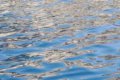 2014-GRAVIT : Wave turbulence