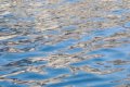 2014-GRAVIT : Wave turbulence
