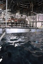 2017-GRAVIT : Mécanismes de transfert d'énergie et convergence des statistiques d'ordre 4 de la turbulence d'onde de gravité.