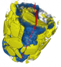 Sujet de thèse : Fluid phase change simulation in porous and cracked media based on multimodal full-field measurements