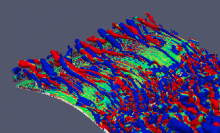 Dynamics of gravity currents on concave and convex slopes