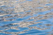2014-GRAVIT : Wave turbulence