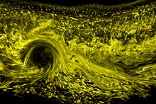 2021-CYPROSS : Barotropic Rossby waves in a homogeneous and a nearly stratified rotating flow : the case of the Cyprus Eddy in the Eastern Mediterranean