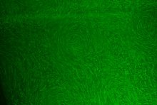 2016-MILESTONE : Mixing and length scales in Stratified Turbulence 
