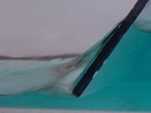 Destabilizing a seiche with an movable dam.