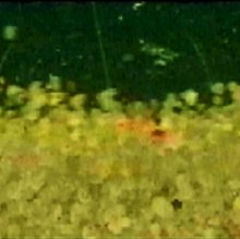 A two-phase model for sediment transport in sheet flow regime 