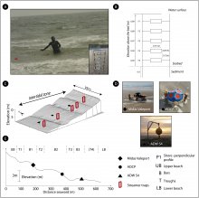 Comparison of sediment flux : in-situ measurements versus simulation.