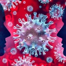 #Covid19 – Fermeture du LEGI